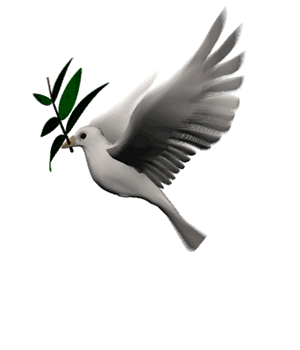 flying-birds-gif-transparent-144877-137985